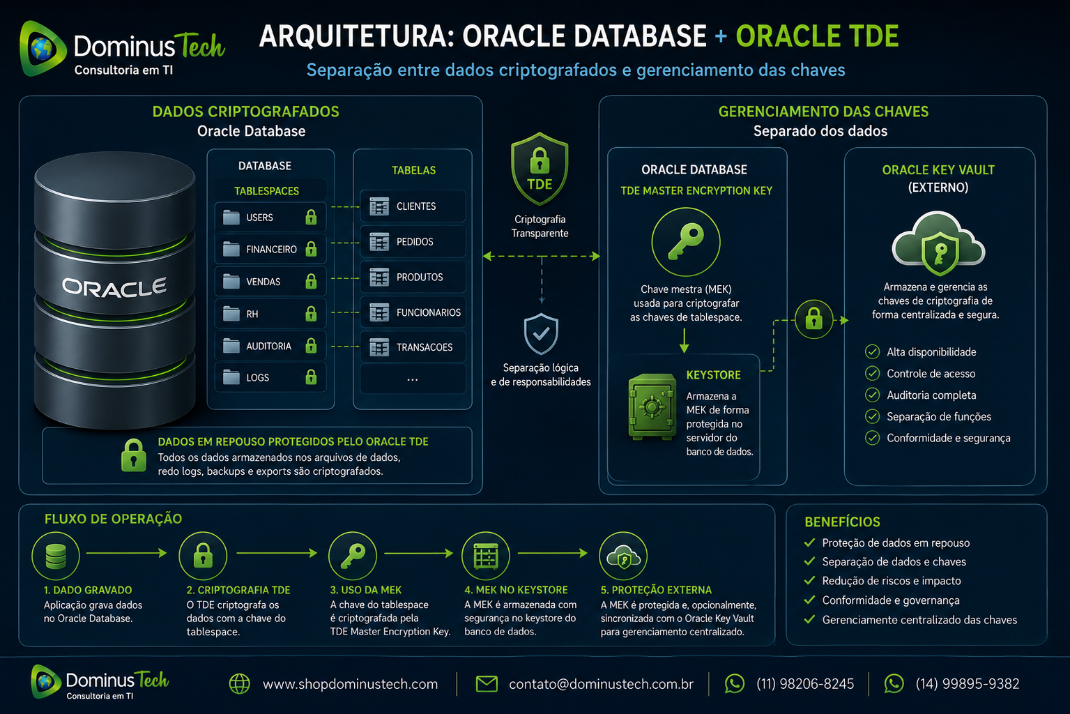 Arquitetura Oracle Database com TDE Master Encryption Key, keystore e Oracle Key Vault, destacando a separação entre dados criptografados e gerenciamento seguro das chaves.