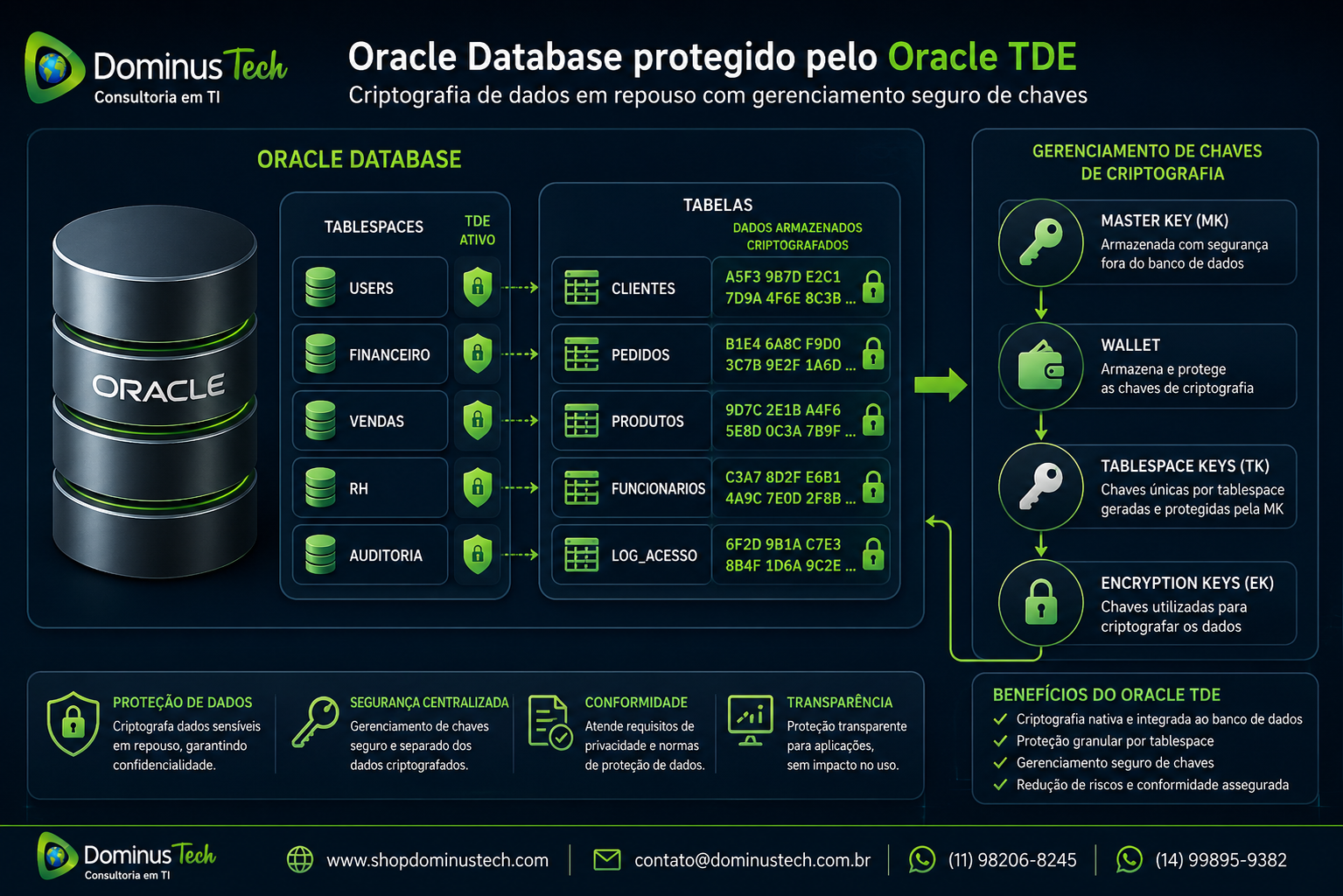 Diagrama corporativo sobre Oracle TDE, mostrando criptografia de dados, tablespaces, tabelas protegidas e gerenciamento seguro de chaves de criptografia.