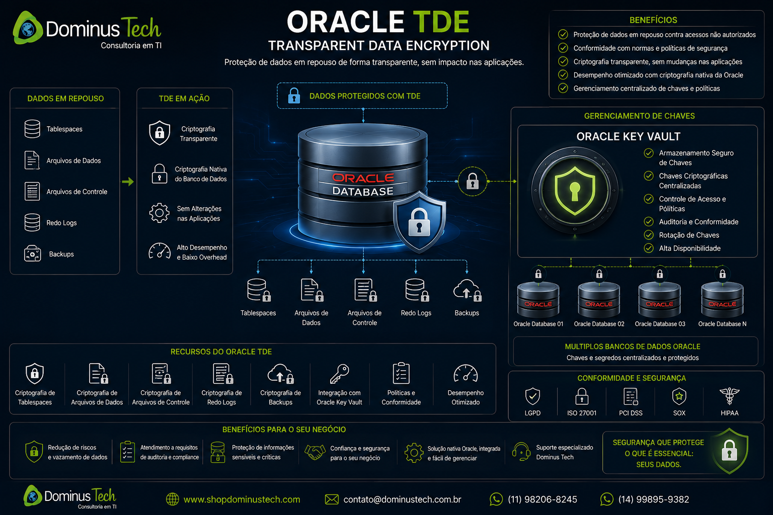Oracle TDE protegendo dados em repouso com criptografia transparente e gerenciamento centralizado de chaves